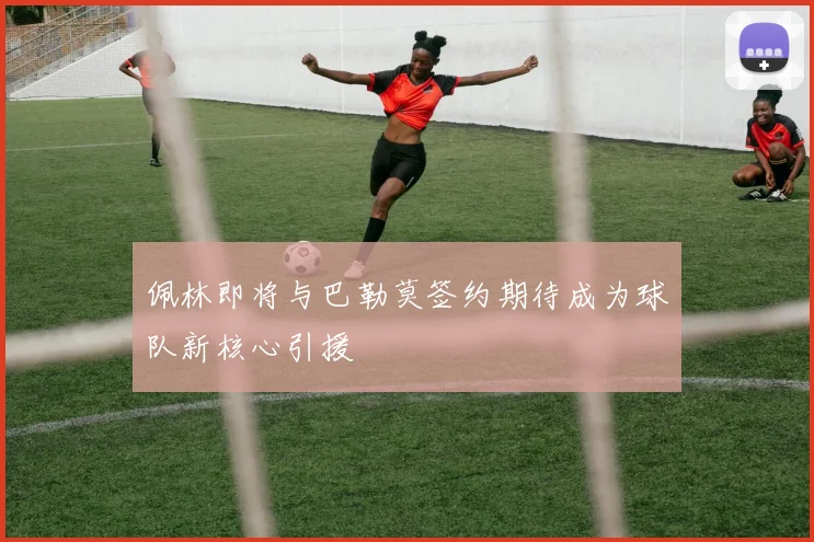 佩林即将与巴勒莫签约期待成为球队新核心引援