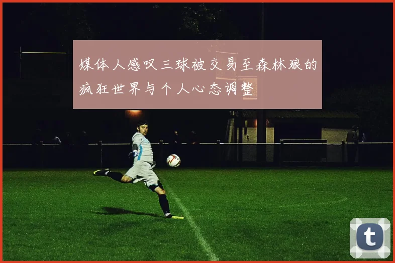 媒体人感叹三球被交易至森林狼的疯狂世界与个人心态调整